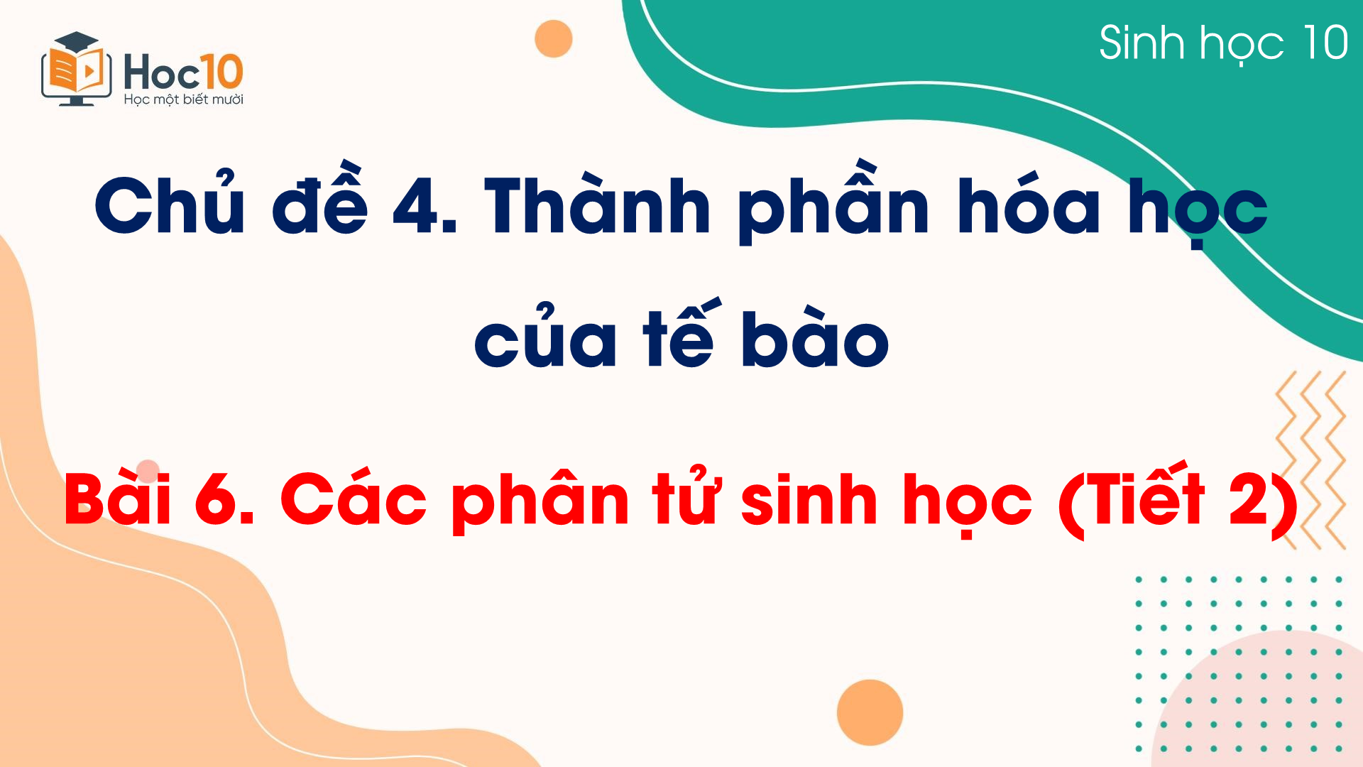 Bài 6 Các phân tử sinh học (Tiết 2)